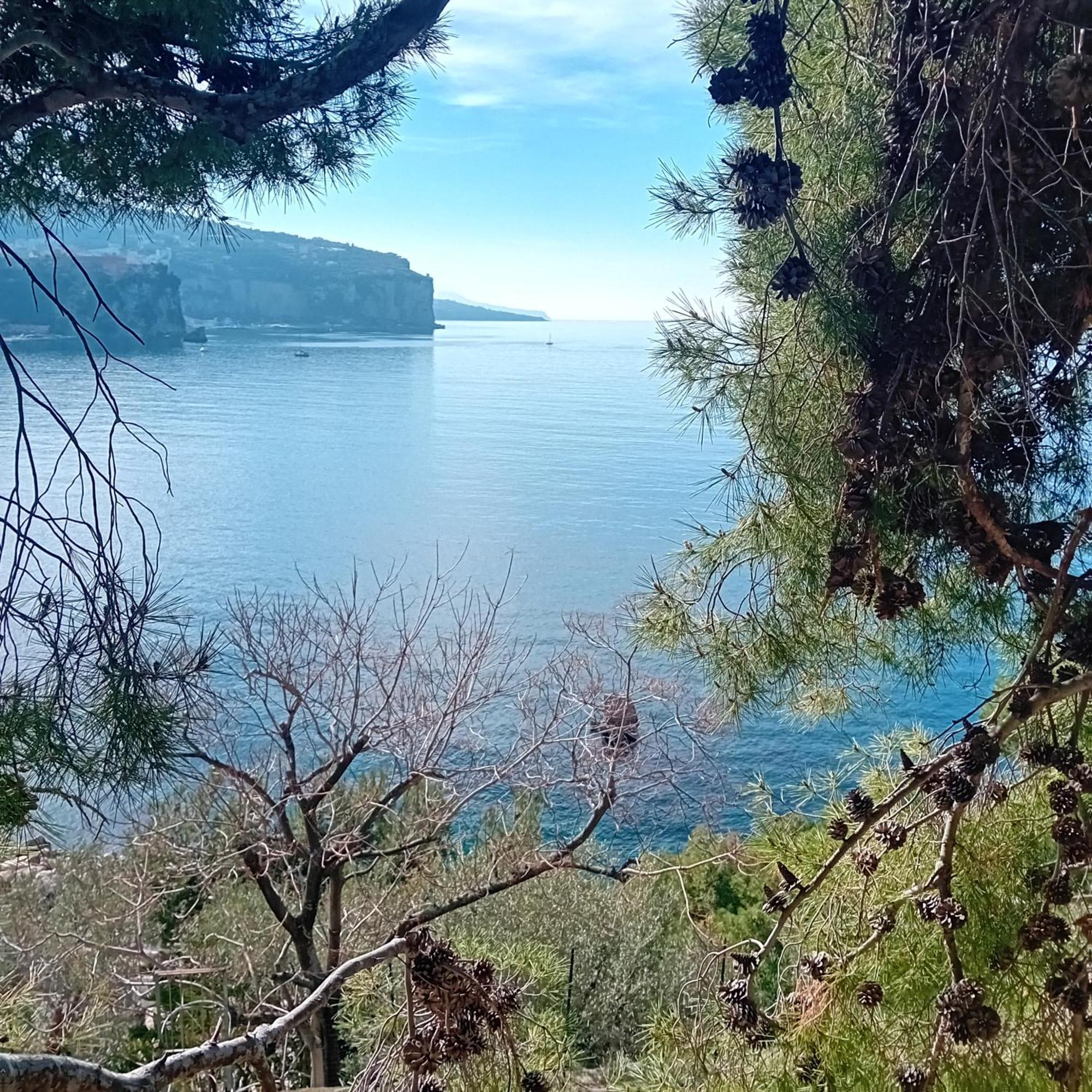Villa La Galetta Vico Equense Εξωτερικό φωτογραφία
