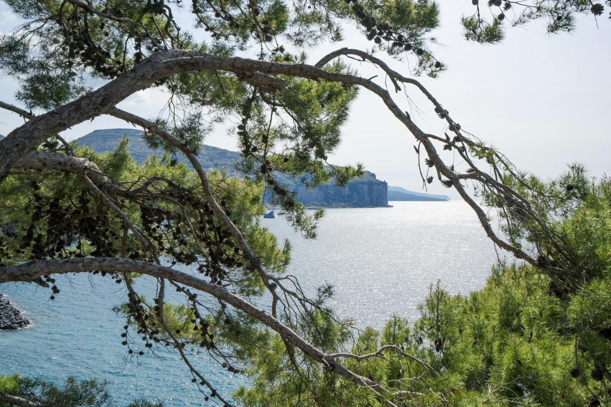 Villa La Galetta Vico Equense Εξωτερικό φωτογραφία